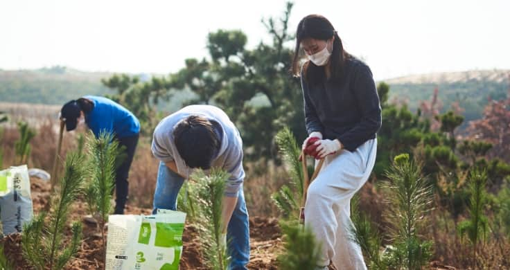 3 volunteers planting some of the 2,300 young trees.  