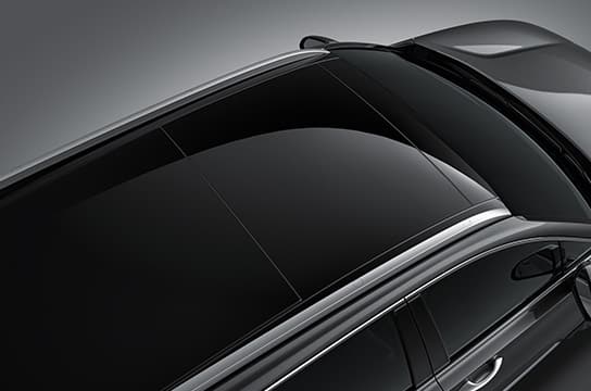 Panorama Sunroof 